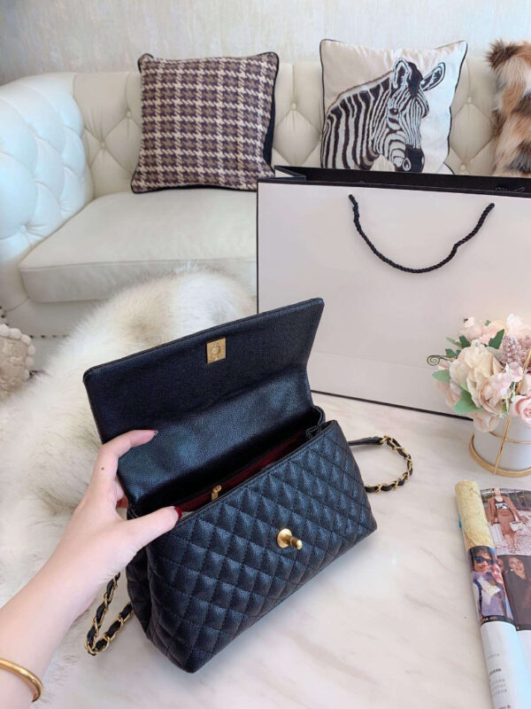 Stylish Fashion Carry Bag C308