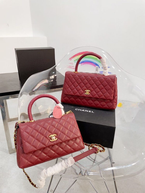 Stylish Fashion Carry Bag C3817