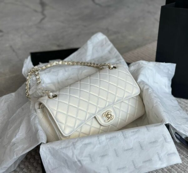 Stylish Fashion Carry Bag C4009
