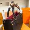 Stylish Fashion Carry Bag L4437 Stylish Fashion Carry Bag L4437