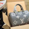 Stylish Fashion Carry Bag L4380
