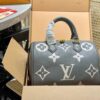 Stylish Fashion Carry Bag L4380