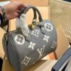 Stylish Fashion Carry Bag L4380