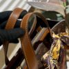 Stylish Fashion Carry LV Handbag L530