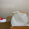 Stylish Fashion Carry Bag L4426-1