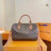 Stylish Fashion Carry Bag L4070