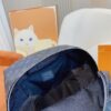 Stylish Fashion Carry Bag L4020