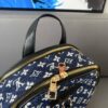Stylish Fashion Carry Bag L3817