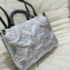 Stylish Fashion Carry Bag L3728