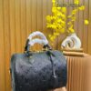 Stylish Fashion Carry Bag L3620