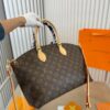 Stylish Fashion Carry Bag L3582