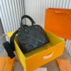 Stylish Fashion Carry Bag L3418-1