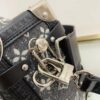 Stylish Fashion Carry LV Handbag L205