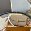 Stylish Fashion Carry LV Handbag L285