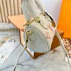 Stylish Fashion Carry LV Handbag L131