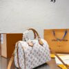 Stylish Fashion Carry Bag L330