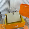 Stylish Fashion Carry Bag L323