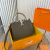 Stylish Fashion Carry Bag L323