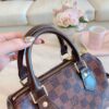 Stylish Fashion Carry Bag L318-1