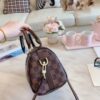 Stylish Fashion Carry Bag L318-1