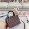 Stylish Fashion Carry Bag L318-1