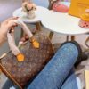 Stylish Fashion Carry Bag L317