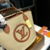 Stylish Fashion Carry Bag L5057