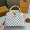 Stylish Fashion Carry Bag L5053