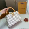 Stylish Fashion Carry Bag L5053