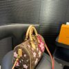 Stylish Fashion Carry LV Handbag L1596
