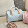 Stylish Fashion Carry LV Handbag L1547