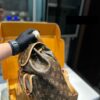 Stylish Fashion Carry LV Handbag L1536 Stylish Fashion Carry LV Handbag L1536