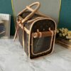 Chic Charm LV Handbag M42021 Chic Charm LV Handbag M42021