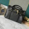 Chic Charm LV Handbag M42021 Chic Charm LV Handbag M42021