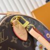 Chic Charm LV Handbag M14078