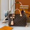Chic Charm LV Handbag M13257