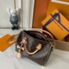 Chic Charm LV Handbag M13257