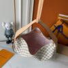Chic Charm LV Handbag M12098
