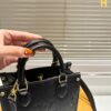 Stylish Fashion Carry Bag L5025