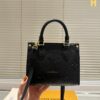 Stylish Fashion Carry Bag L5025
