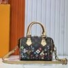 Chic Charm LV Handbag M45957-M58953.1