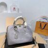 Stylish Fashion Carry LV Handbag L1420-2