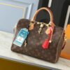 Chic Charm LV Handbag M12803