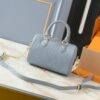 Chic Charm LV Handbag M12713-M58953