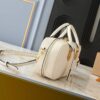 Chic Charm LV Handbag M12009