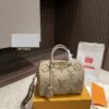Stylish Fashion Carry LV Handbag L1336.1