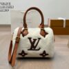 Stylish Fashion Carry LV Handbag L1220