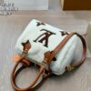 Stylish Fashion Carry LV Handbag L1220