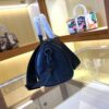 Chic Charm LV Handbag M46678