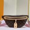 Chic Charm LV Handbag M43644